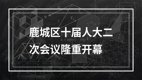 鹿城区十届人大二次会议隆重开幕