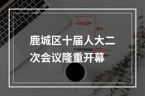 鹿城区十届人大二次会议隆重开幕