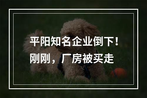 平阳知名企业倒下！刚刚，厂房被买走