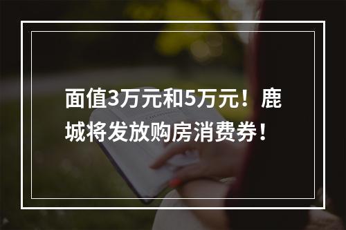 面值3万元和5万元！鹿城将发放购房消费券！