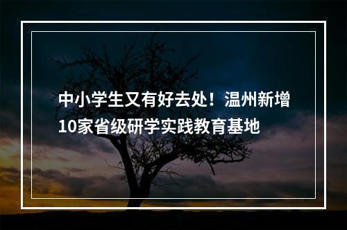 中小学生又有好去处！温州新增10家省级研学实践教育基地