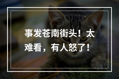 事发苍南街头！太难看，有人怒了！