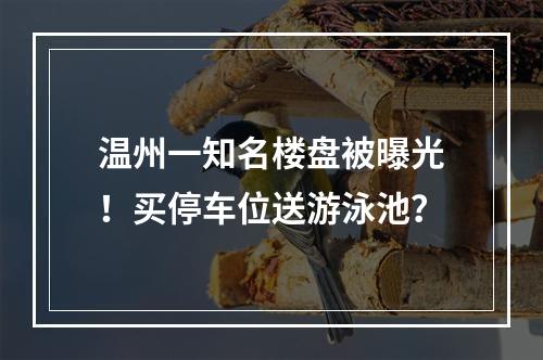 温州一知名楼盘被曝光！买停车位送游泳池？