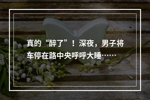 真的“醉了”！深夜，男子将车停在路中央呼呼大睡……