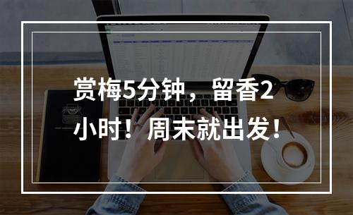 赏梅5分钟，留香2小时！周末就出发！