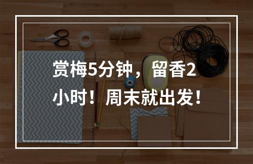 赏梅5分钟，留香2小时！周末就出发！