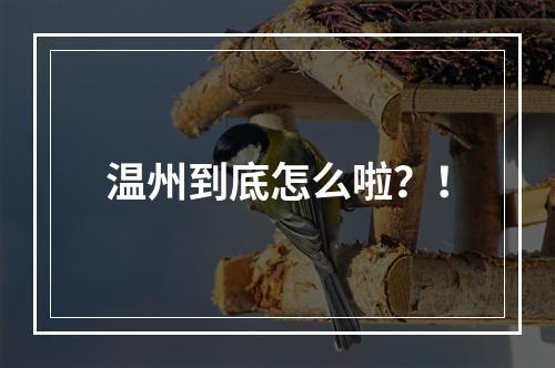 温州到底怎么啦？！