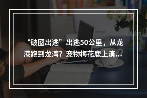 “破圈出逃”出逃50公里，从龙港跑到龙湾？宠物梅花鹿上演现实版“越狱”， ...