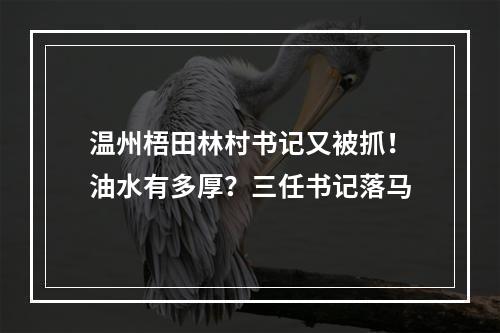 温州梧田林村书记又被抓！油水有多厚？三任书记落马