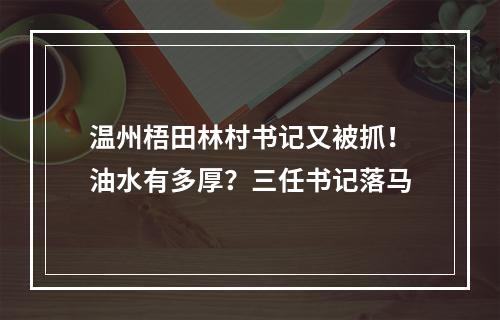 温州梧田林村书记又被抓！油水有多厚？三任书记落马