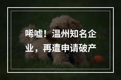 唏嘘！温州知名企业，再遭申请破产