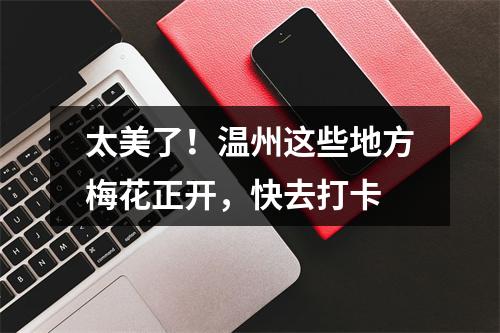 太美了！温州这些地方梅花正开，快去打卡