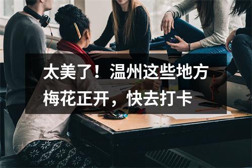 太美了！温州这些地方梅花正开，快去打卡