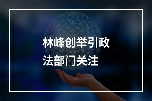 林峰创举引政法部门关注