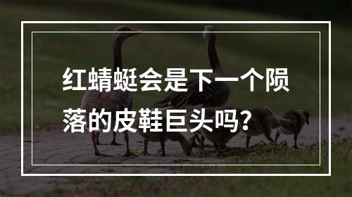 红蜻蜓会是下一个陨落的皮鞋巨头吗？