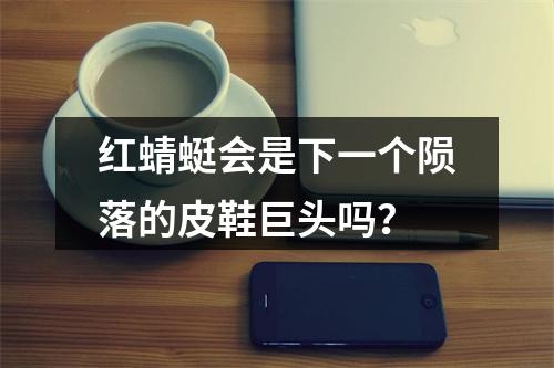 红蜻蜓会是下一个陨落的皮鞋巨头吗？