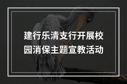 建行乐清支行开展校园消保主题宣教活动
