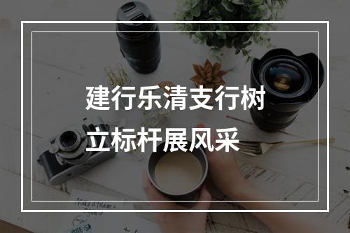 建行乐清支行树立标杆展风采