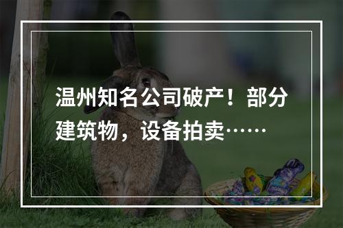温州知名公司破产！部分建筑物，设备拍卖……