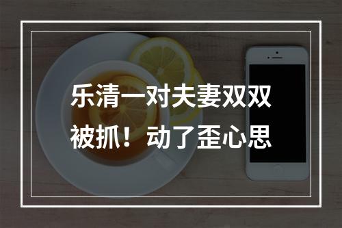 乐清一对夫妻双双被抓！动了歪心思