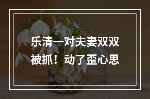 乐清一对夫妻双双被抓！动了歪心思