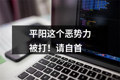 平阳这个恶势力被打！请自首