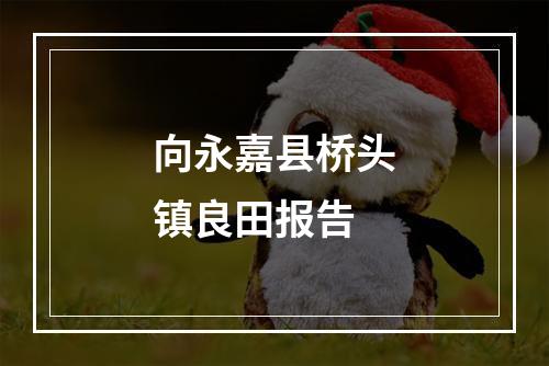 向永嘉县桥头镇良田报告