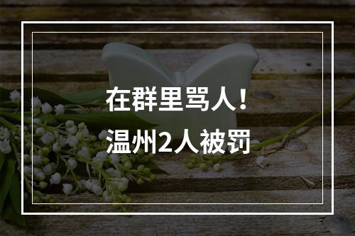 在群里骂人！温州2人被罚