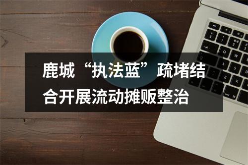 鹿城“执法蓝”疏堵结合开展流动摊贩整治