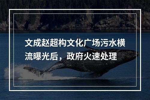 文成赵超构文化广场污水横流曝光后，政府火速处理