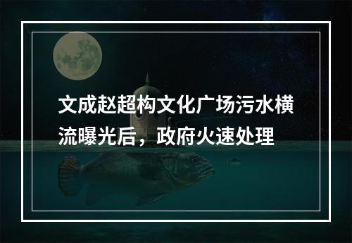 文成赵超构文化广场污水横流曝光后，政府火速处理