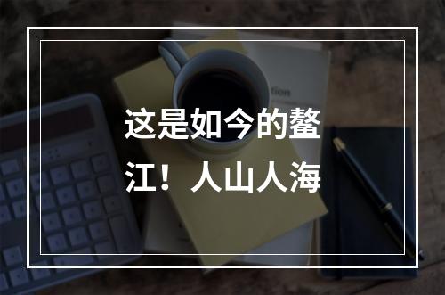 这是如今的鳌江！人山人海