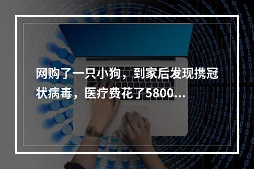 网购了一只小狗，到家后发现携冠状病毒，医疗费花了5800多元！