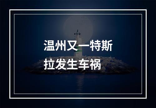 温州又一特斯拉发生车祸