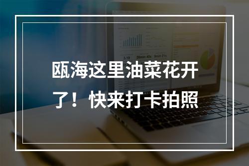 瓯海这里油菜花开了！快来打卡拍照