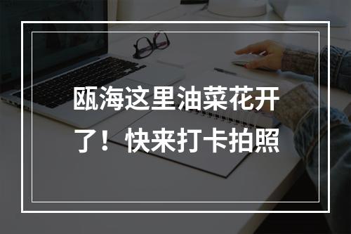 瓯海这里油菜花开了！快来打卡拍照