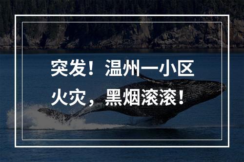 突发！温州一小区火灾，黑烟滚滚！