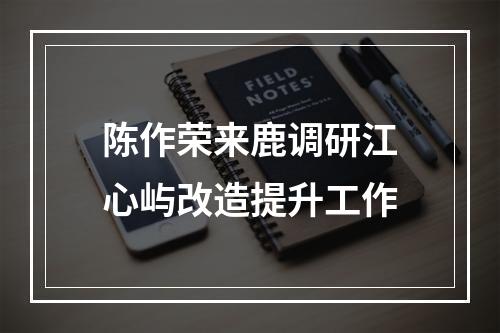 陈作荣来鹿调研江心屿改造提升工作