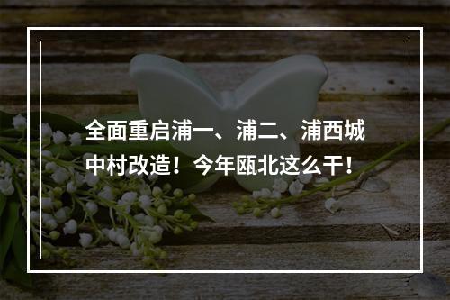 全面重启浦一、浦二、浦西城中村改造！今年瓯北这么干！