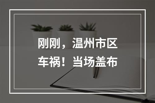 刚刚，温州市区车祸！当场盖布