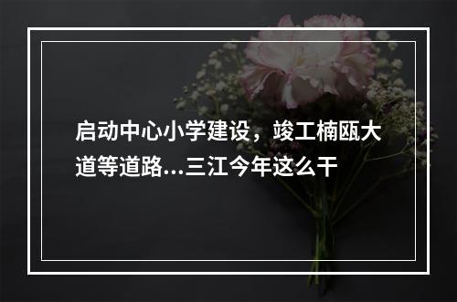 启动中心小学建设，竣工楠瓯大道等道路...三江今年这么干