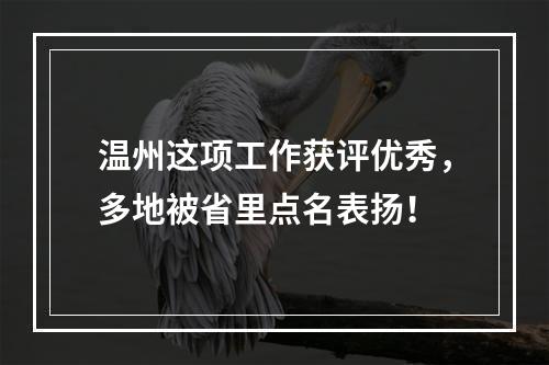 温州这项工作获评优秀，多地被省里点名表扬！