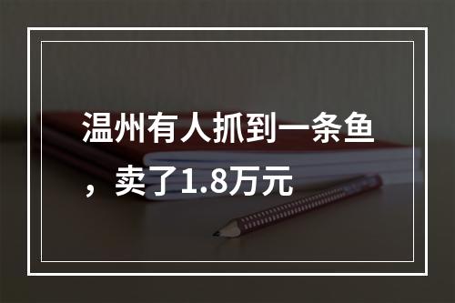 温州有人抓到一条鱼，卖了1.8万元