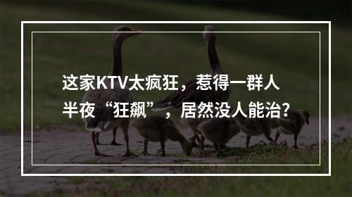 这家KTV太疯狂，惹得一群人半夜“狂飙”，居然没人能治？