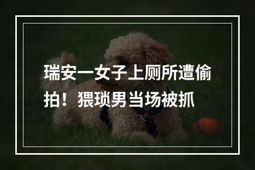 瑞安一女子上厕所遭偷拍！猥琐男当场被抓