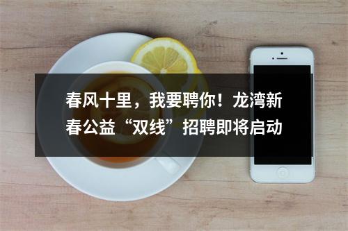 春风十里，我要聘你！龙湾新春公益“双线”招聘即将启动