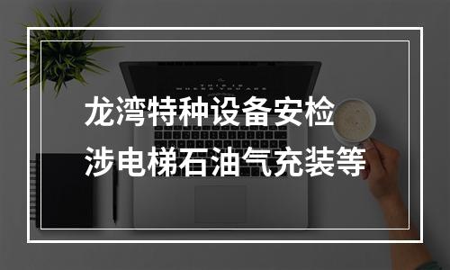 龙湾特种设备安检 涉电梯石油气充装等