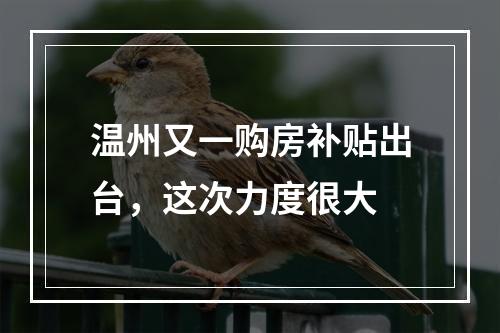 温州又一购房补贴出台，这次力度很大