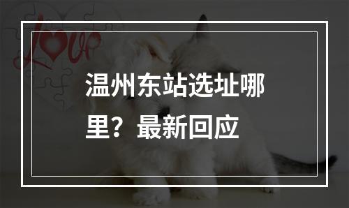 温州东站选址哪里？最新回应