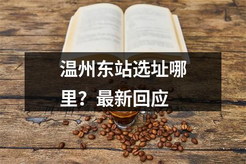 温州东站选址哪里？最新回应